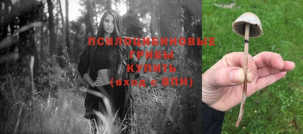 прущая мука Куйбышев